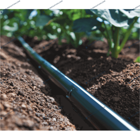 Gaine goutte a goutte T-TAPE 150, 200 et 375 microns