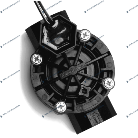 Electrovanne RAIN BIRD HV 1" Femelle ( taraudee ) 24 Volts