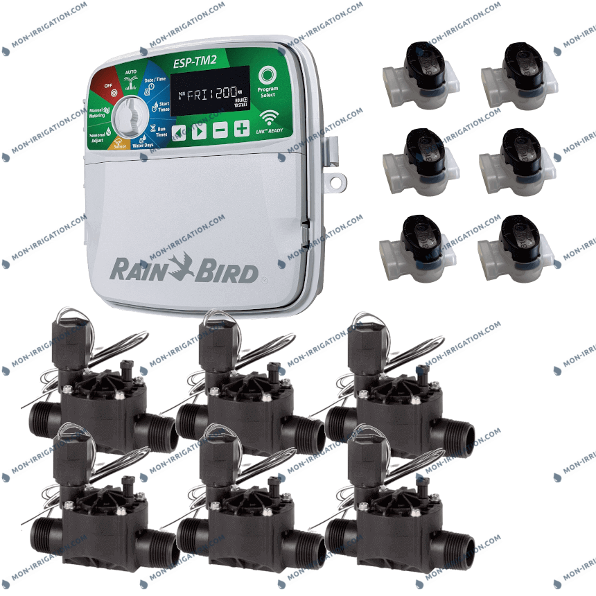 Rain Bird Lot De 8 Électrovannes 100-HV 24V - 2,54 Cm - Pour Système Arrosage Automatique