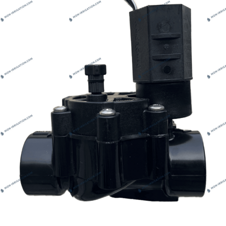 Électrovanne RAIN BIRD 100-DV 1" Femelle (taraudée) 24V