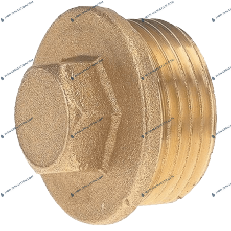 Bouchon fileté laiton