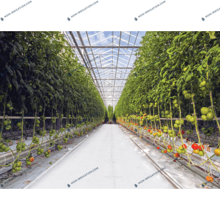 Manifold TORO 2 sorties pour goutteur NGE SF ou NGE AL