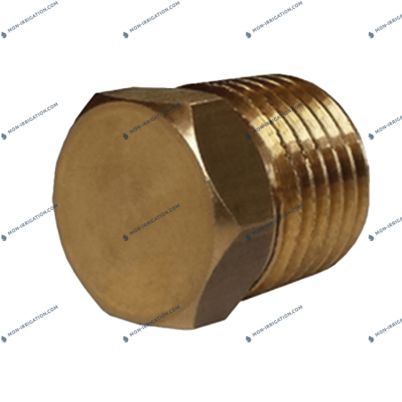 Bouchon pour arroseur ROLLAND 11C