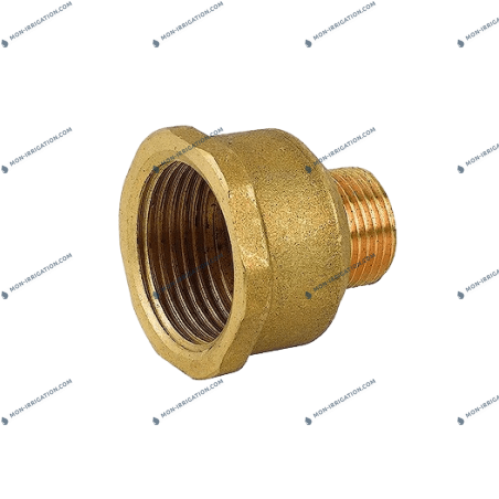 Réduction taraudée /...