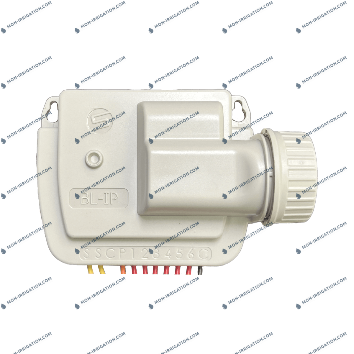 Programmateur d'arrosage à pile BL-IP| SOLEM recto
