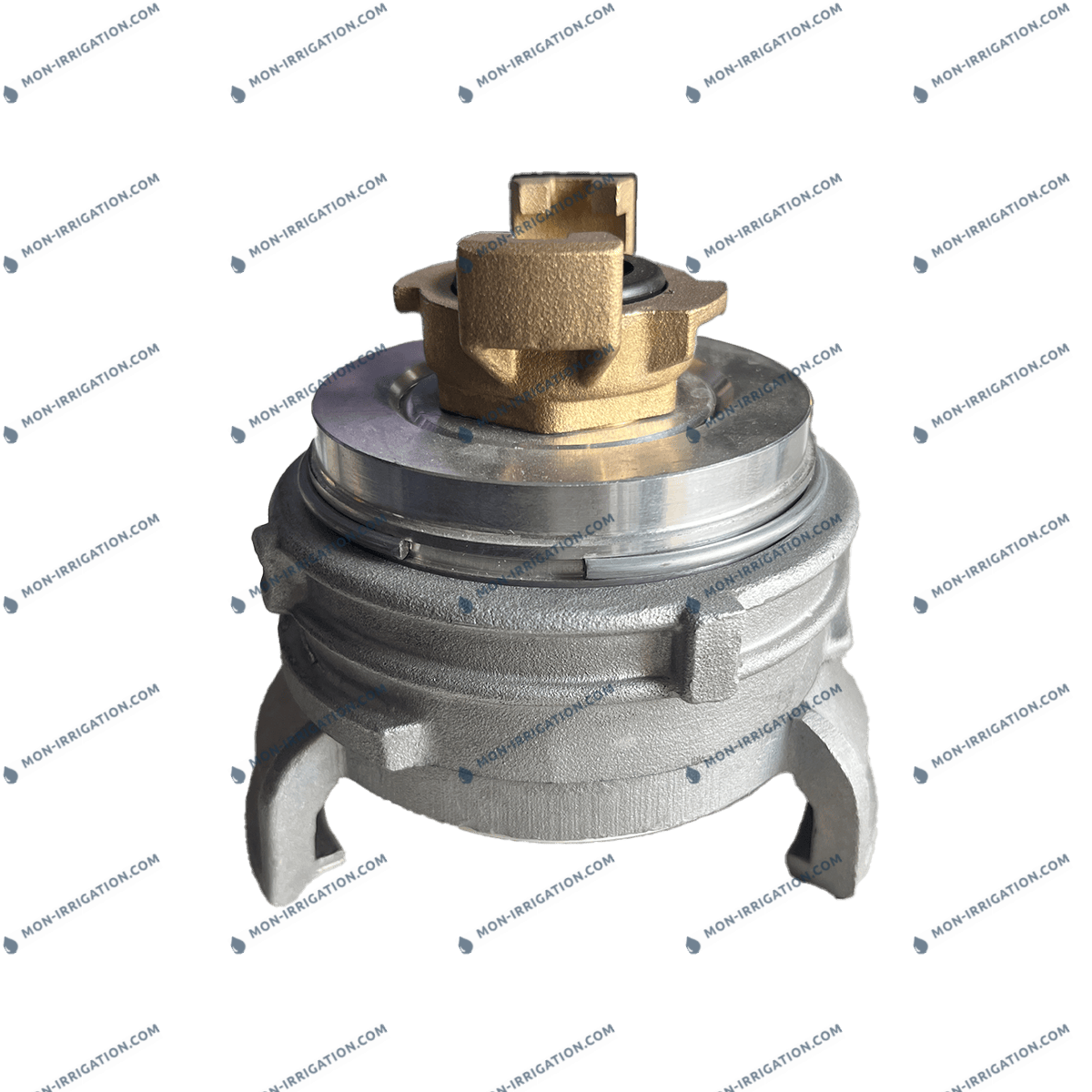 Raccord GUILLEMIN à verrou aluminium avec raccord express laiton