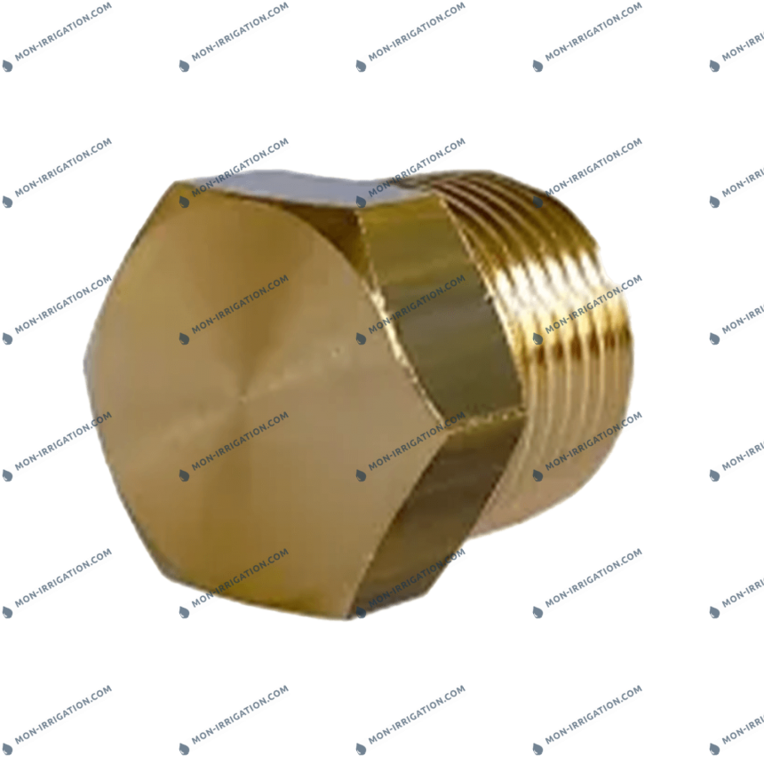 Bouchon pour arroseur à batteur ROLLAND 22 PC