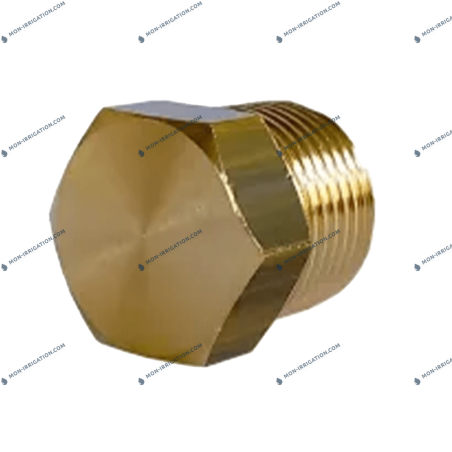 Bouchon pour arroseur à batteur ROLLAND 22 PC