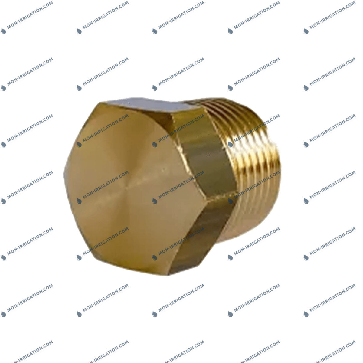 Bouchon pour arroseur à batteur ROLLAND 22 PC