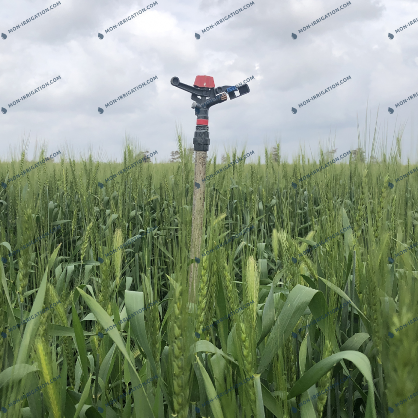 Arroseur à batteur plastique NAANDAN 5035 SD dans un champs monté sur canne