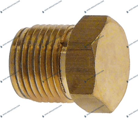 Bouchon pour arroseur à...