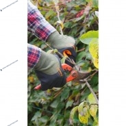 Lot de Gants protection froid MIDSEASON