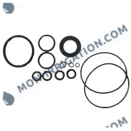 Kit moteur et joints complet DOSATRON D20GL2