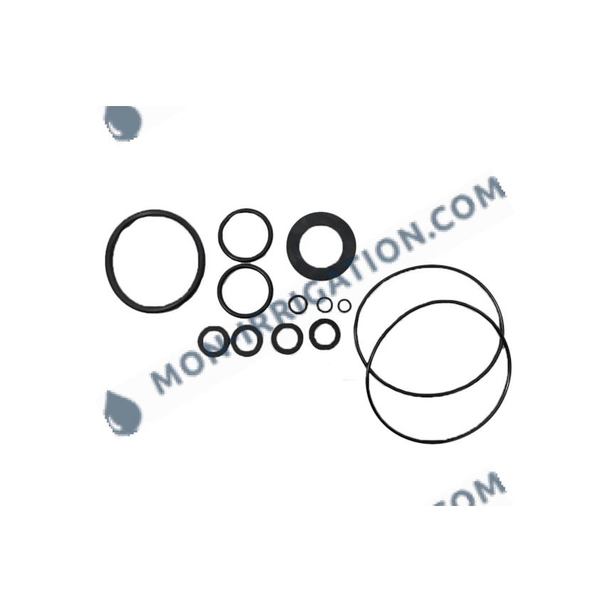 Kit moteur et joints complet DOSATRON D20GL2