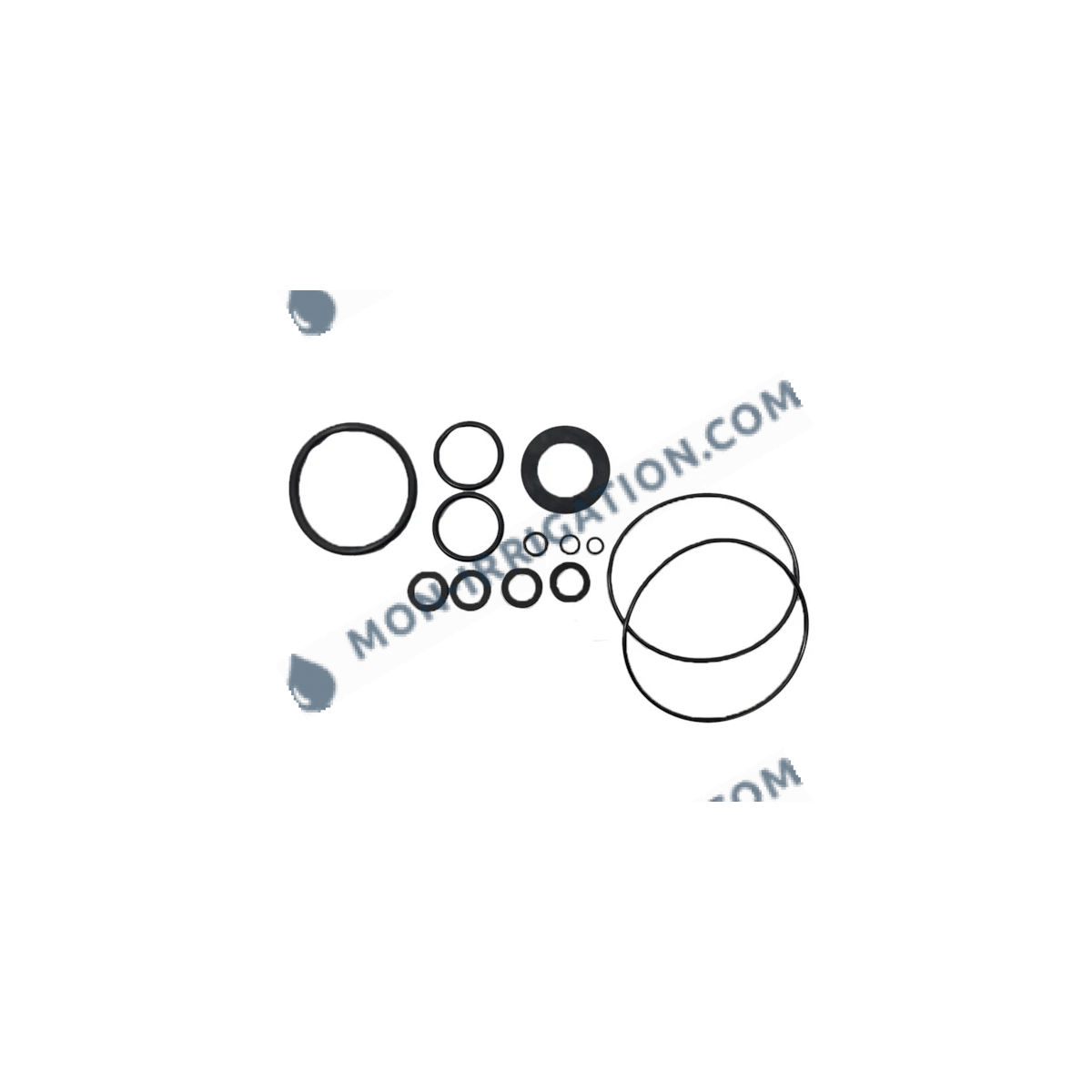 Kit moteur et joints complet DOSATRON D20GL2