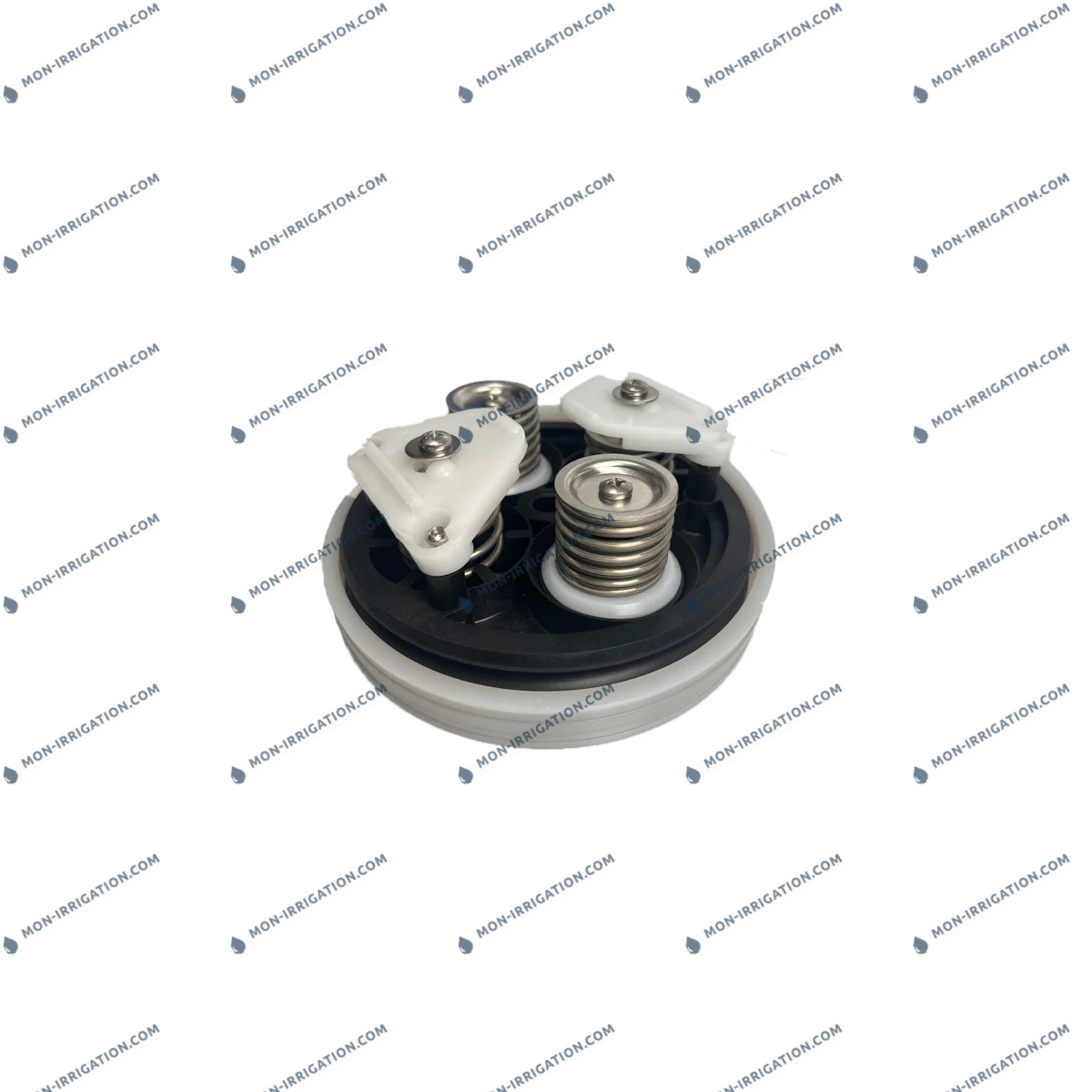 Kit moteur complet DOSATRON D20GL2