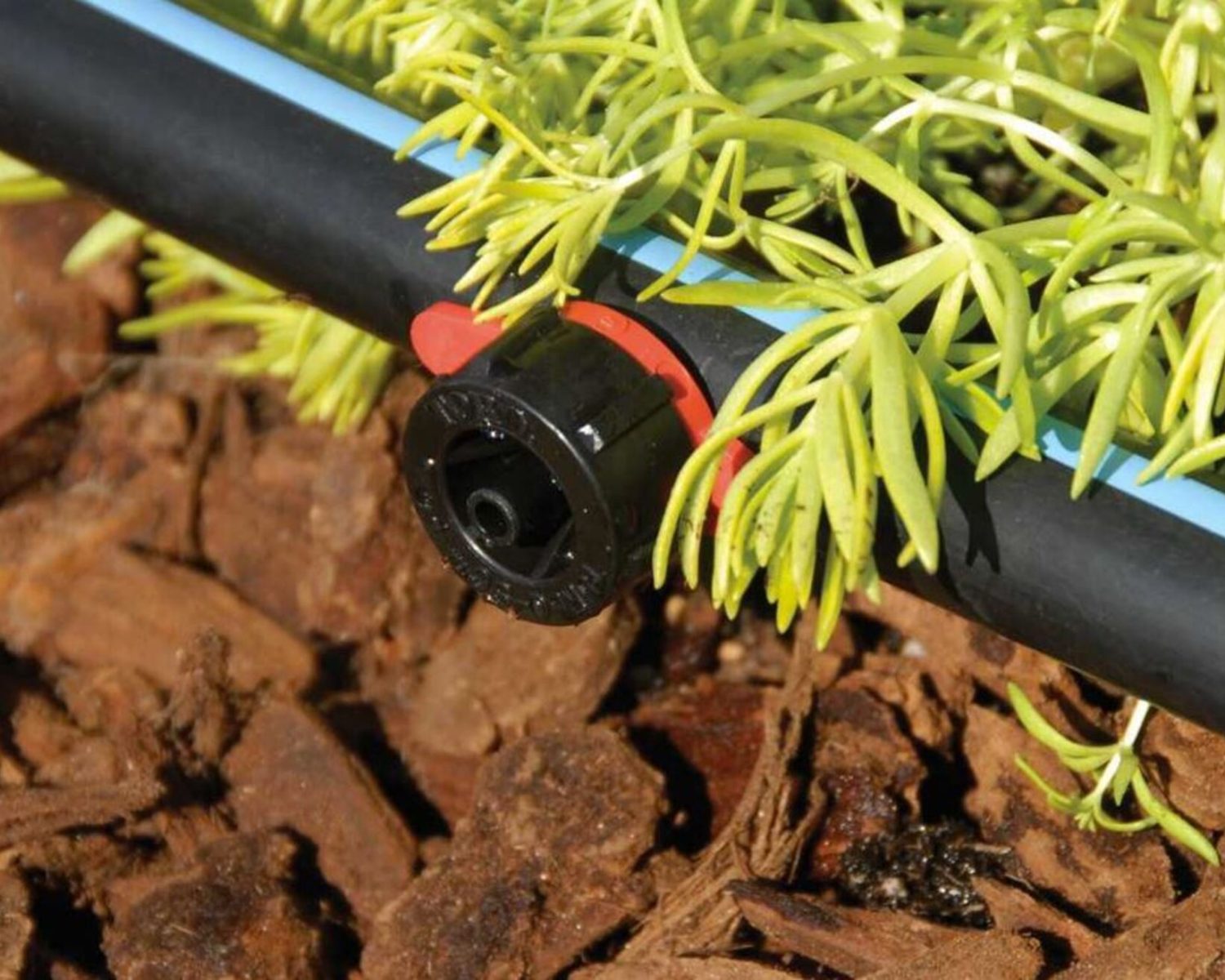 Goutteur TORO TURBO sur tuyau goutte à goutte en train d'arroser