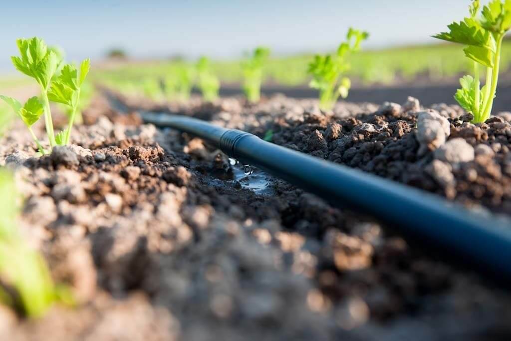 Système HYDROGOL goutte à goutte en fonctionnement dans un champ