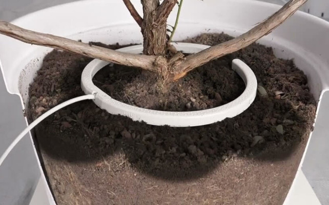 Arc goutte à goutte NETBOW pour pot