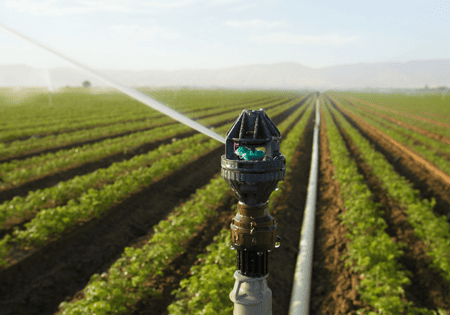 Arroseurs Nelson R2000 WF montés sur canne pour l'arrosage sur frondaison