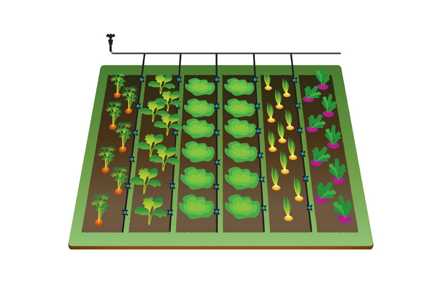 exemple de montage irrigation goutte à goutte