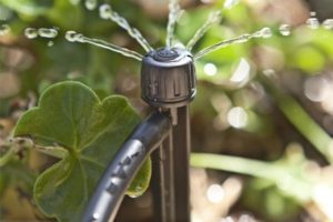 photo de l'ottima en pleine irrigation