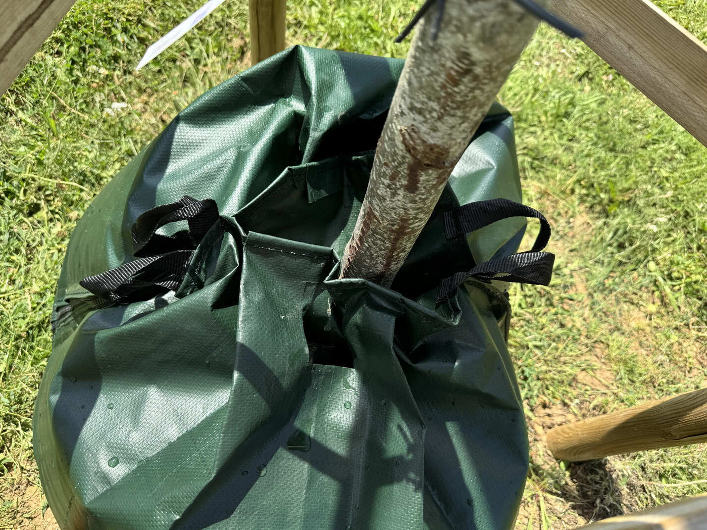 WaterBag installé autour d’un tronc