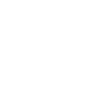 Léo pumps