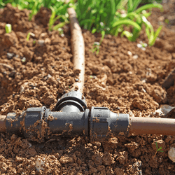 Kit d'irrigation goutte à goutte personnalisé pour 1 hectare de potagers,  arbres, petites fermes